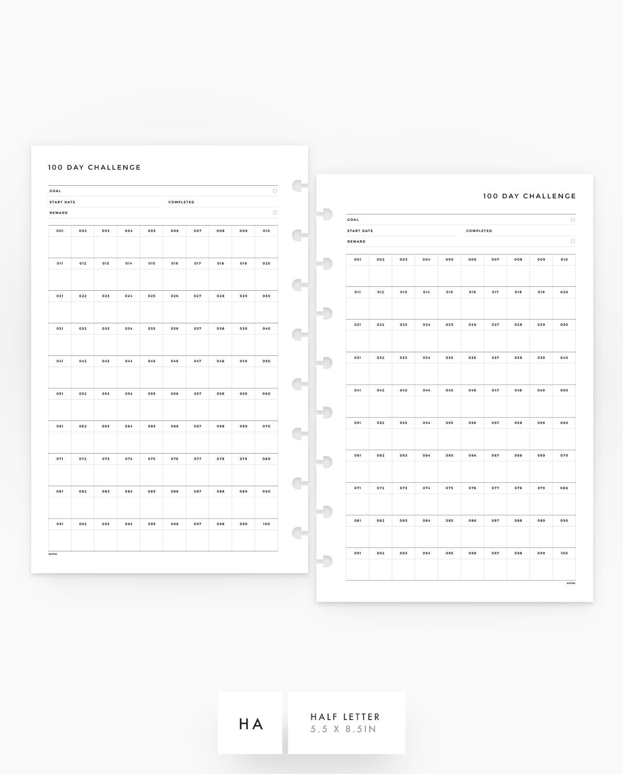 MN105 - 100 Day Challenge - Planner Inserts - SPECIAL ORDER