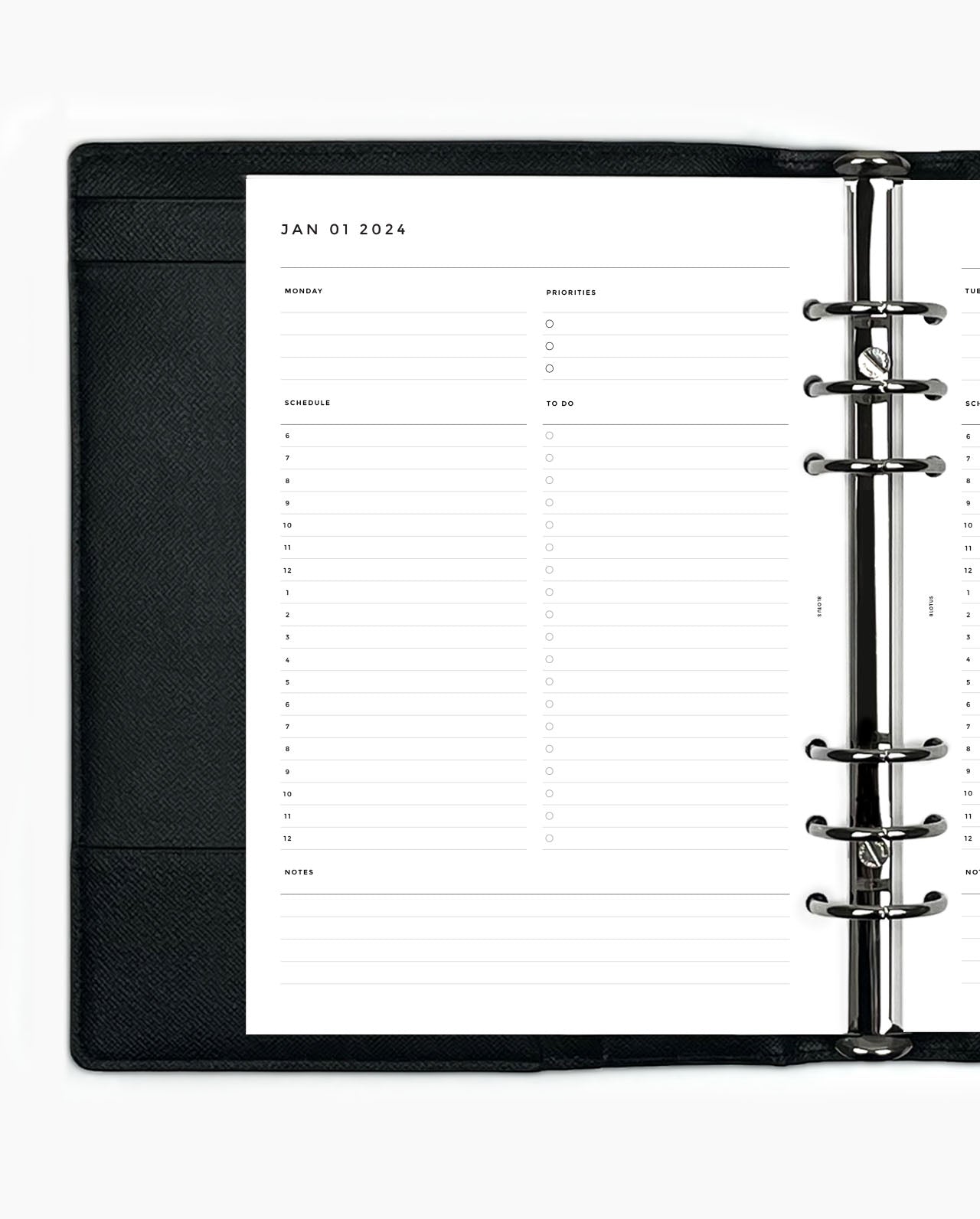 MN203 - 2024 DAILY PLANNER - HOURLY - DO1P - Printable PDF