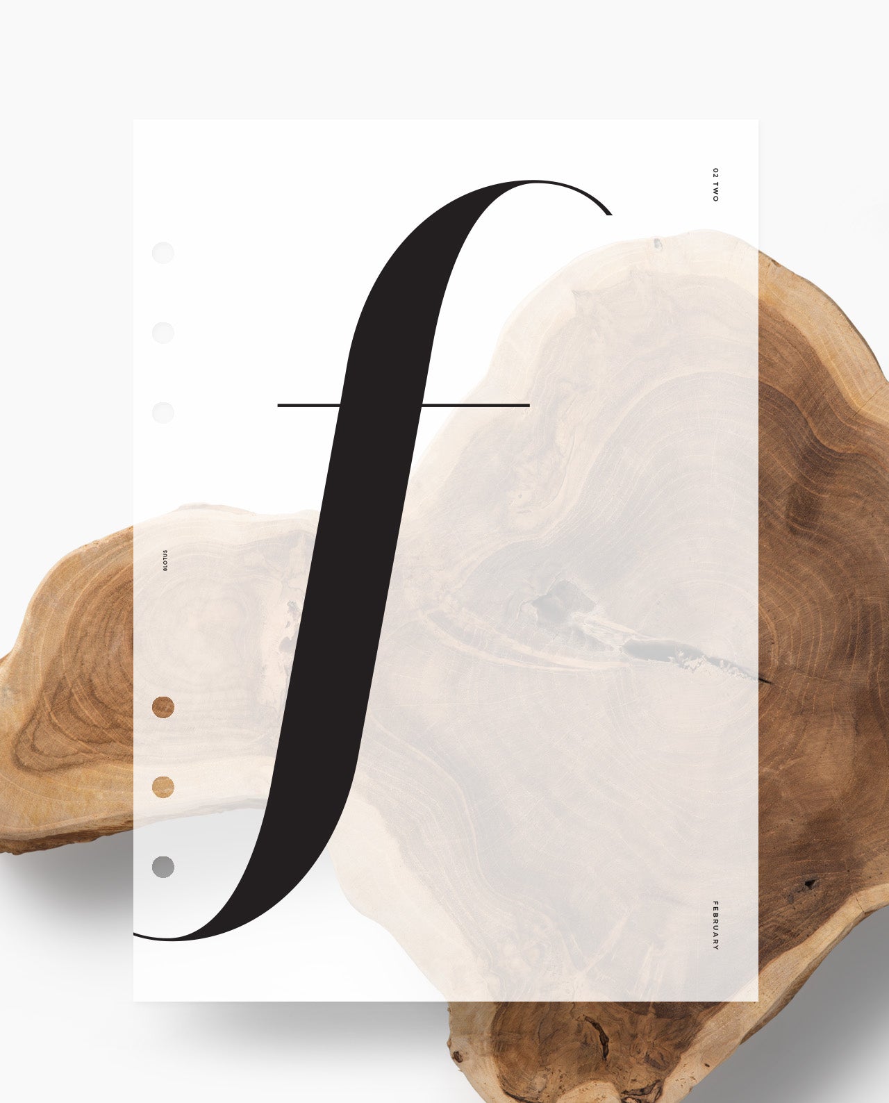 D012 - Bold Serif - Monthly Dashboards - Special Order