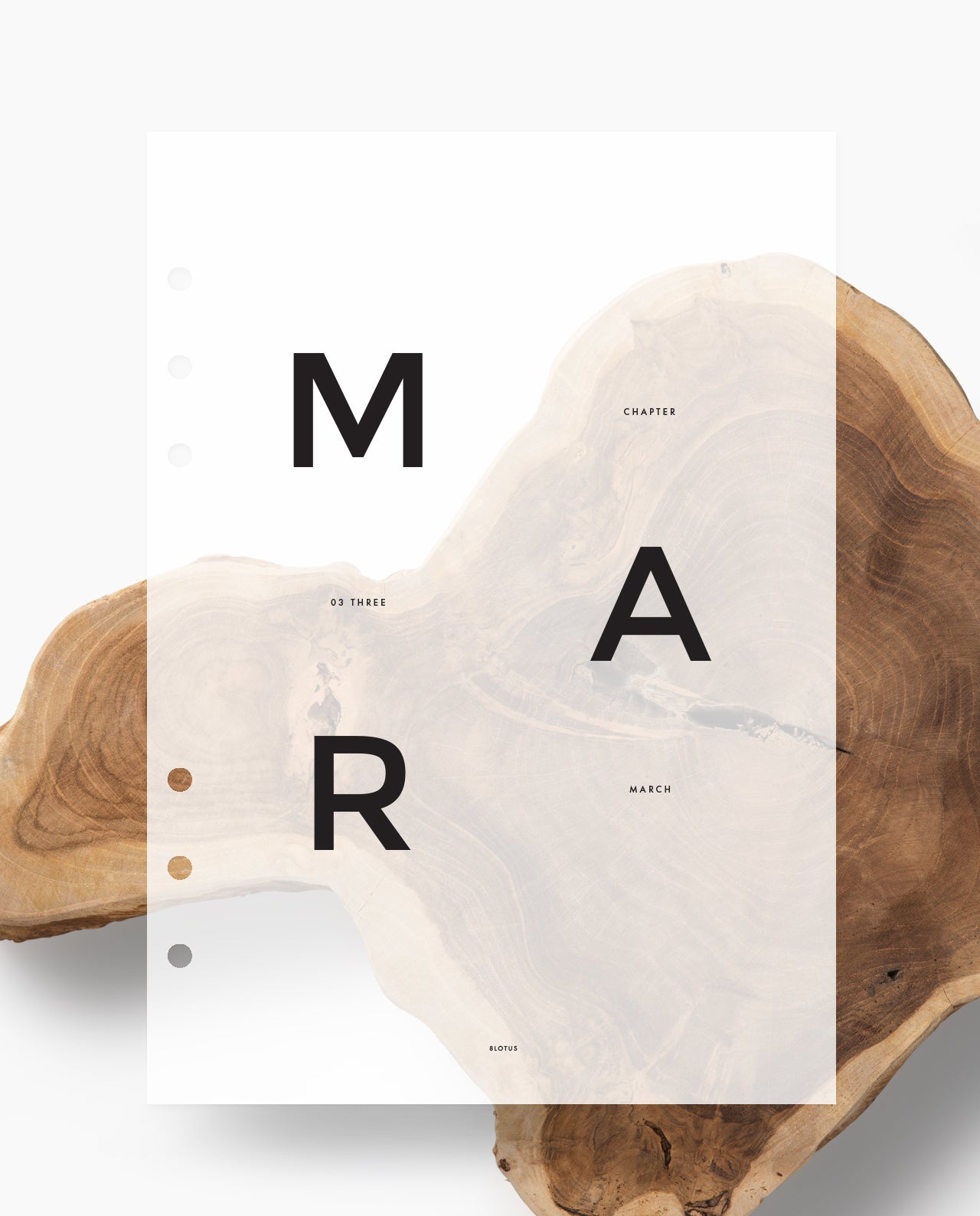 D046 - Monthly Planner Dashboard