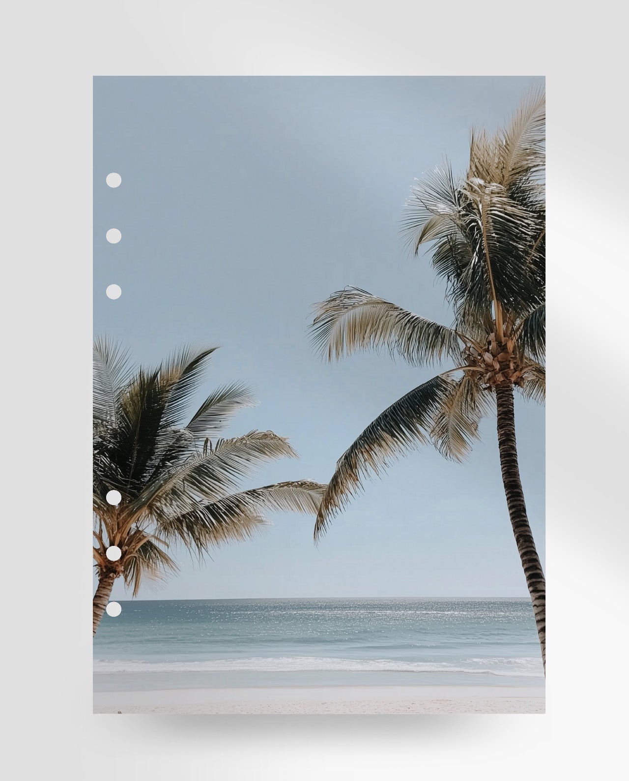 D116 - Beach Palms - Planner Dashboard