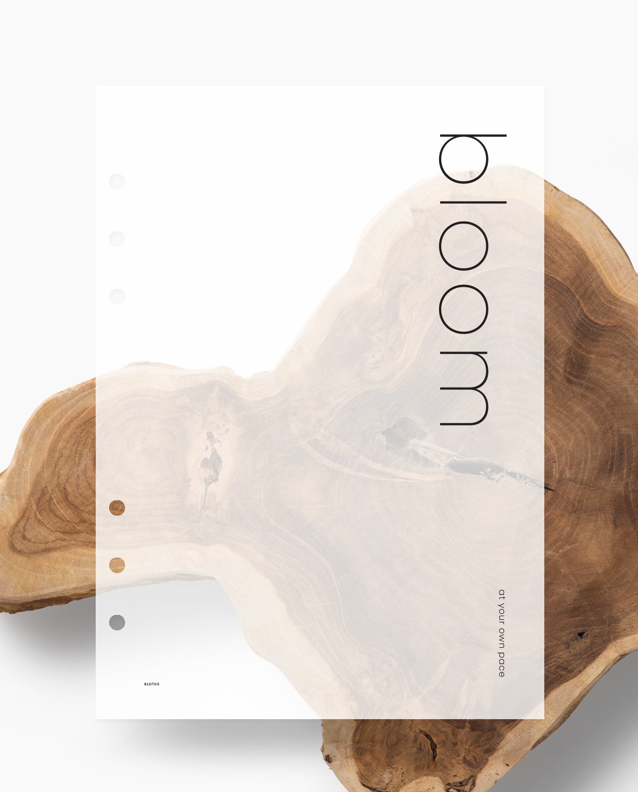 D068 - Bloom At Your Own Pace - Dashboard