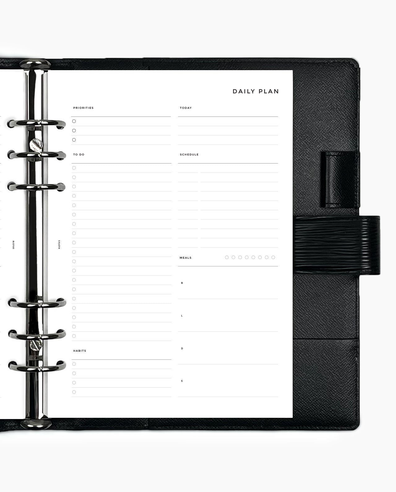 Louis Vuitton mm agenda and gm desk agenda set up, inserts