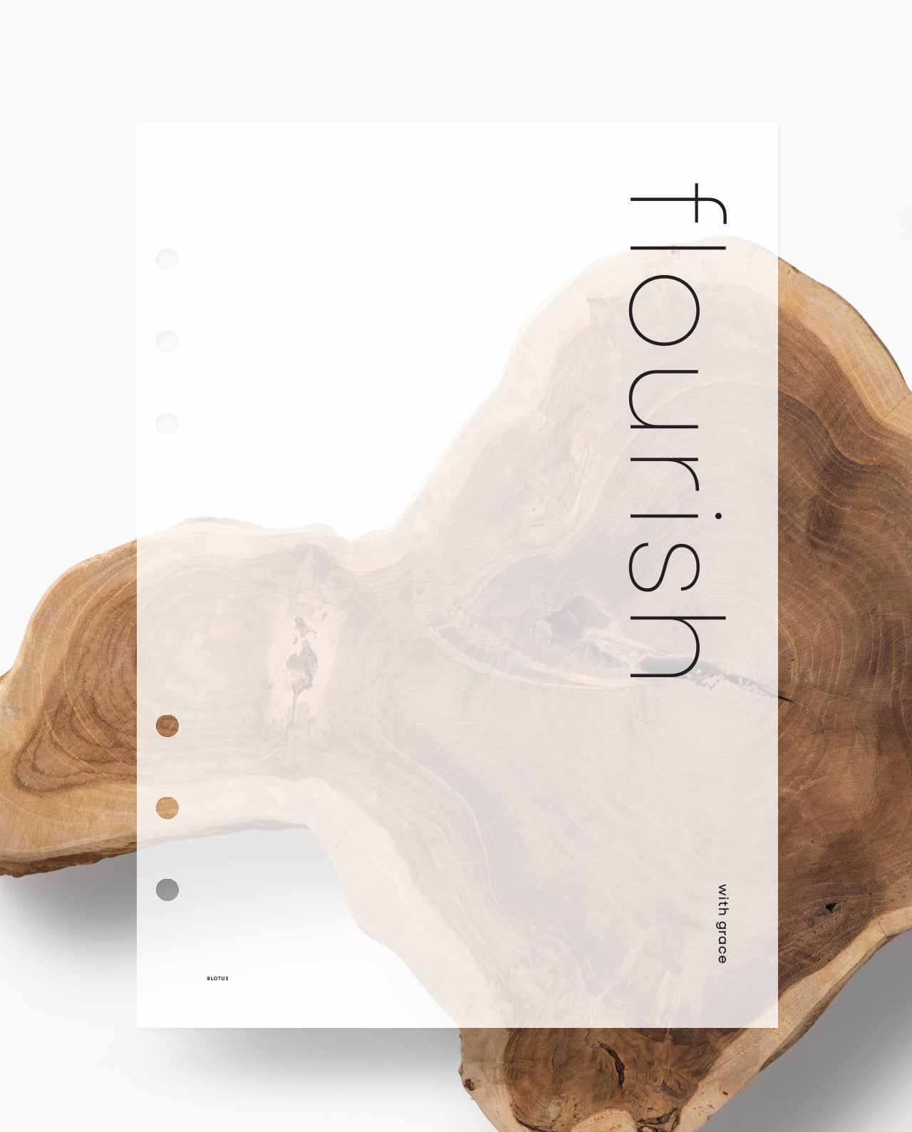 D109 - Flourish - Planner Dashboard