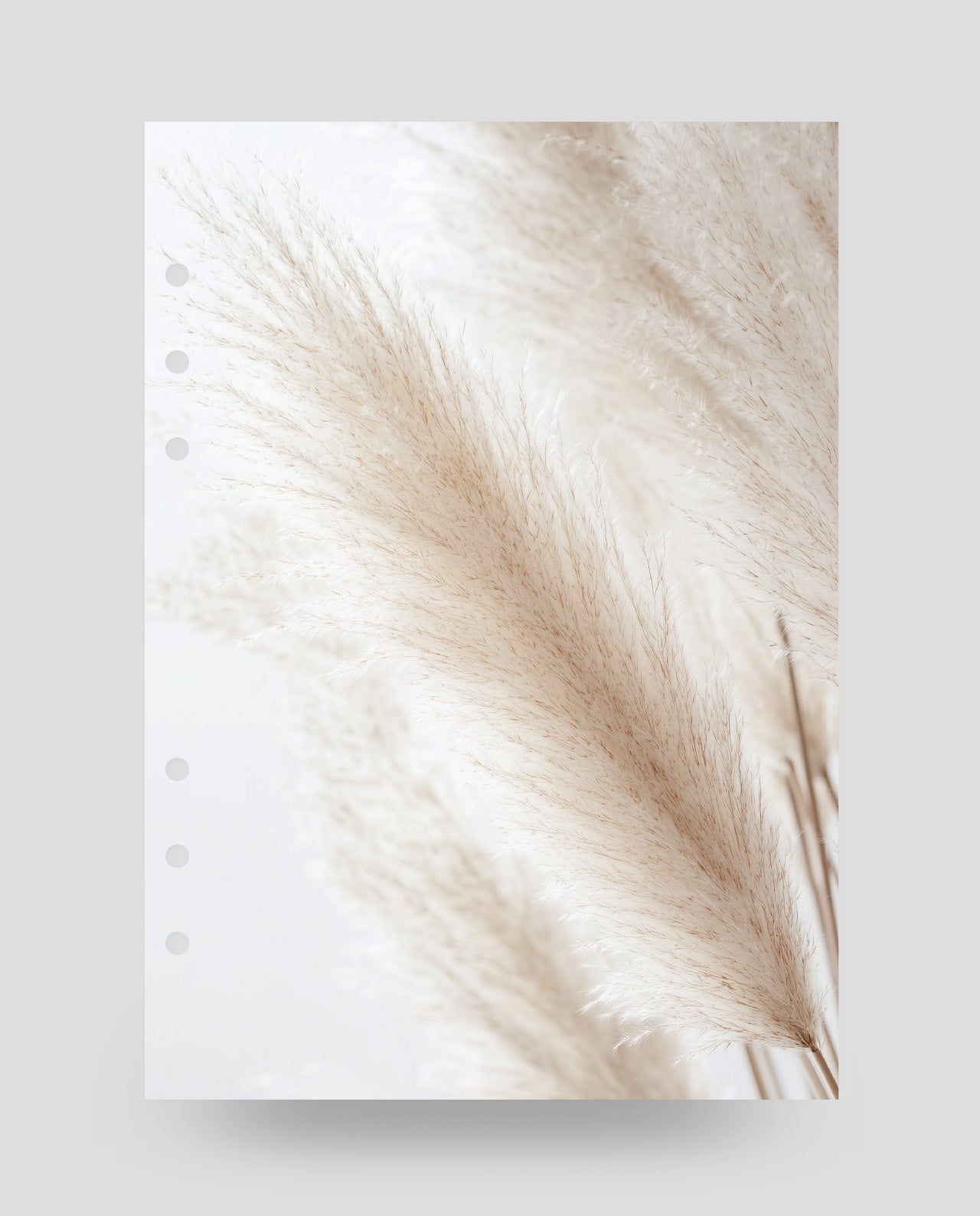 D088 - Soft Pampas - Planner Dashboard