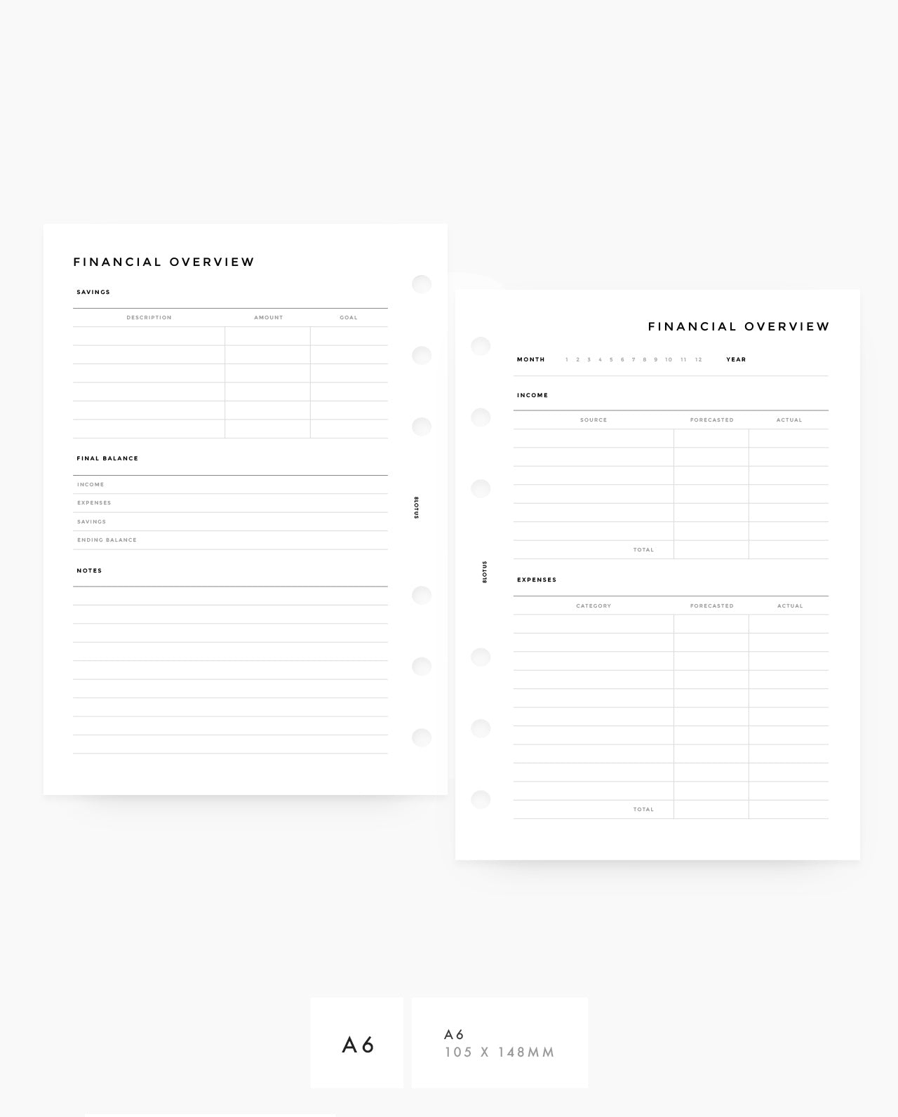 MN038 - Financial Overview PRINTABLE Inserts