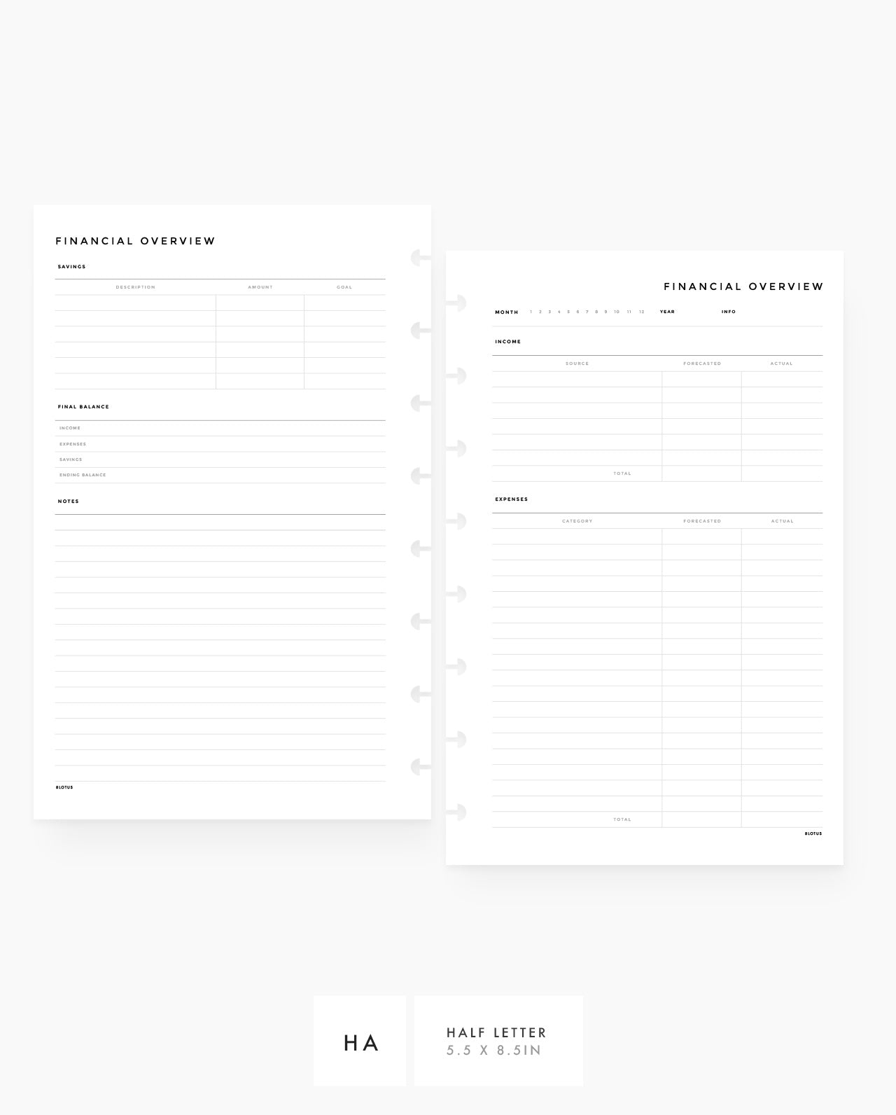 MN038 - Financial Overview PRINTABLE Inserts