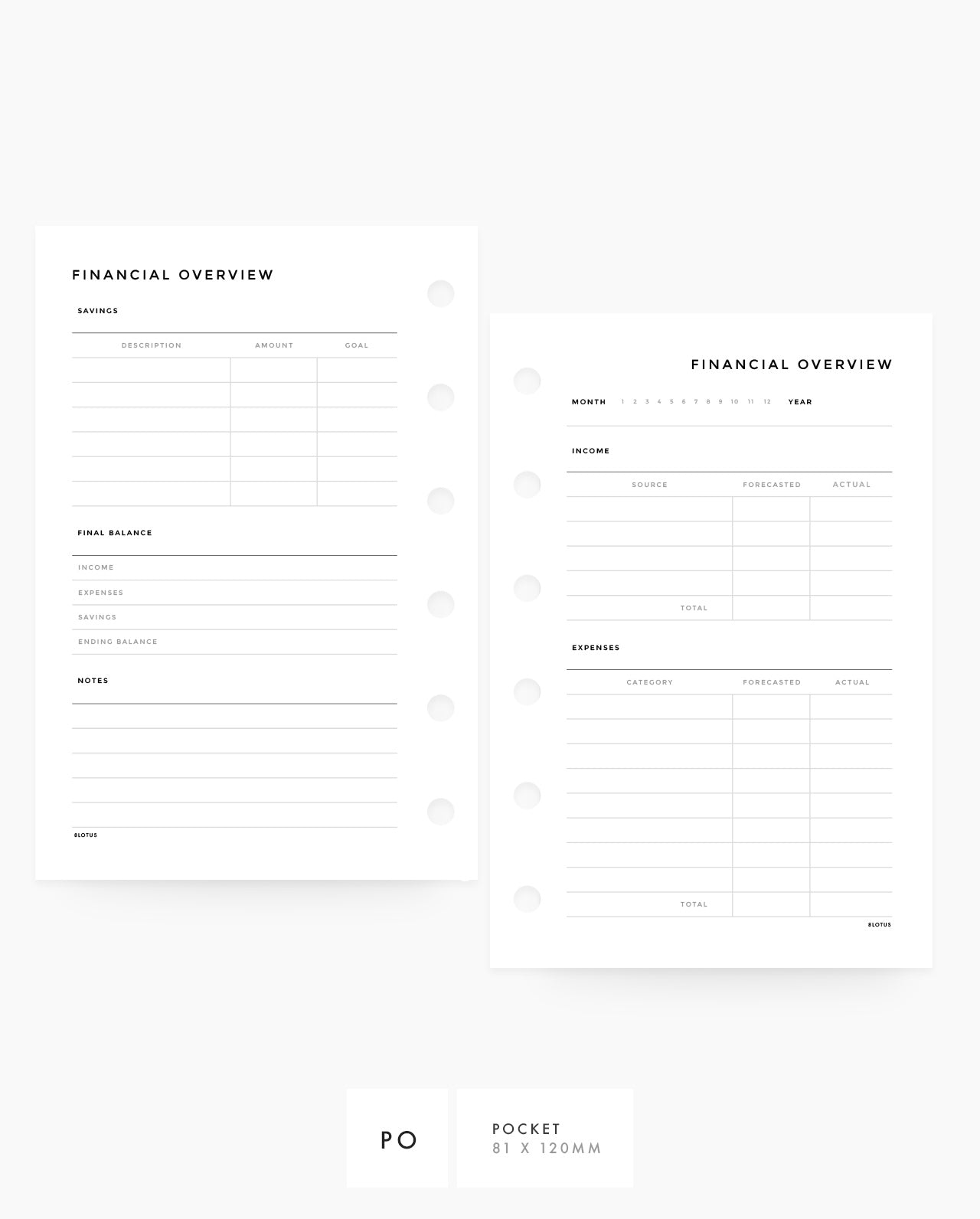 MN038 - Financial Overview PRINTABLE Inserts