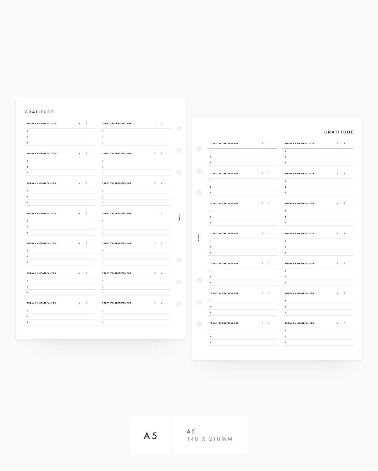 MN006 - Gratitude Journal  - PDF