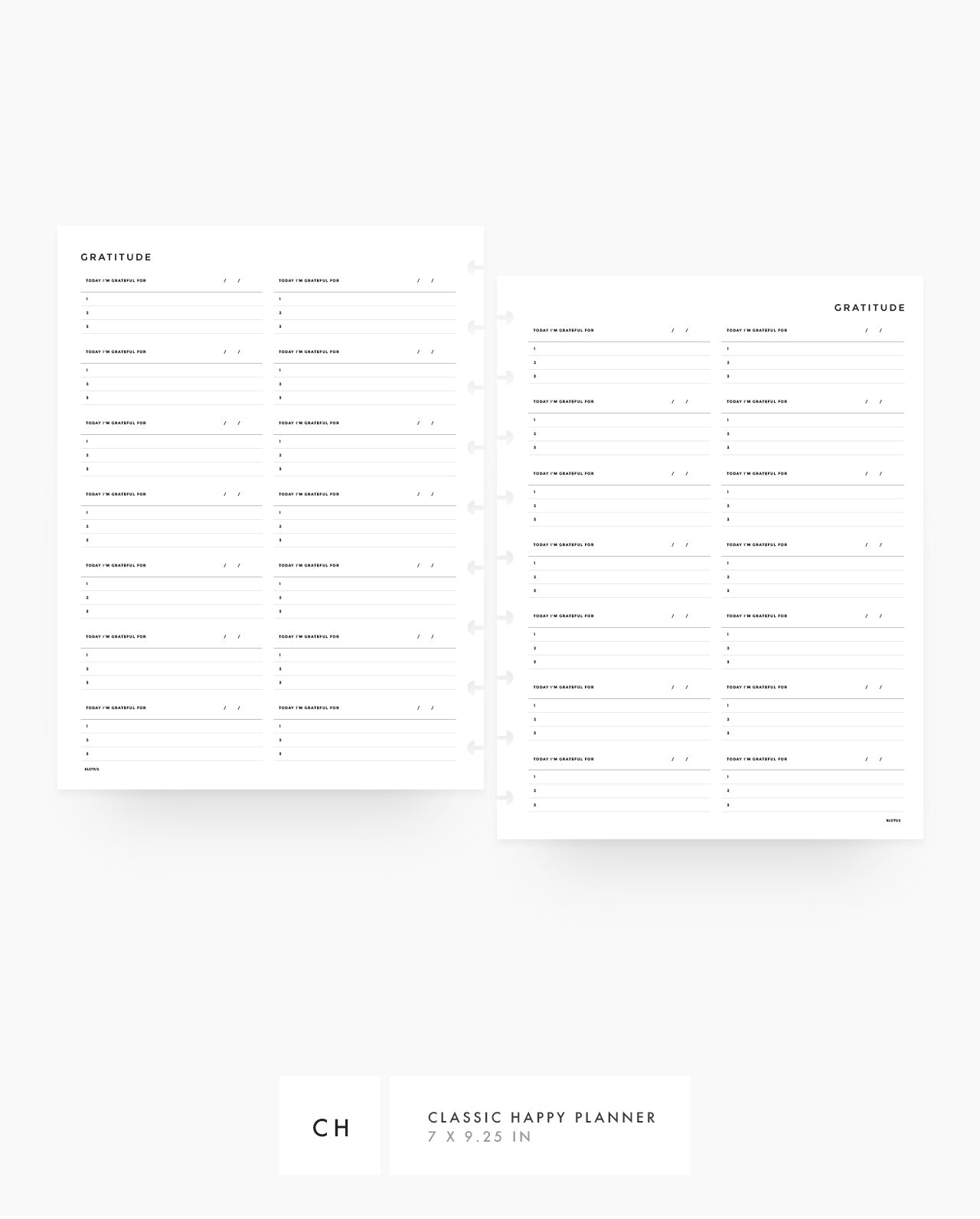 MN006 - Gratitude Journal - PDF