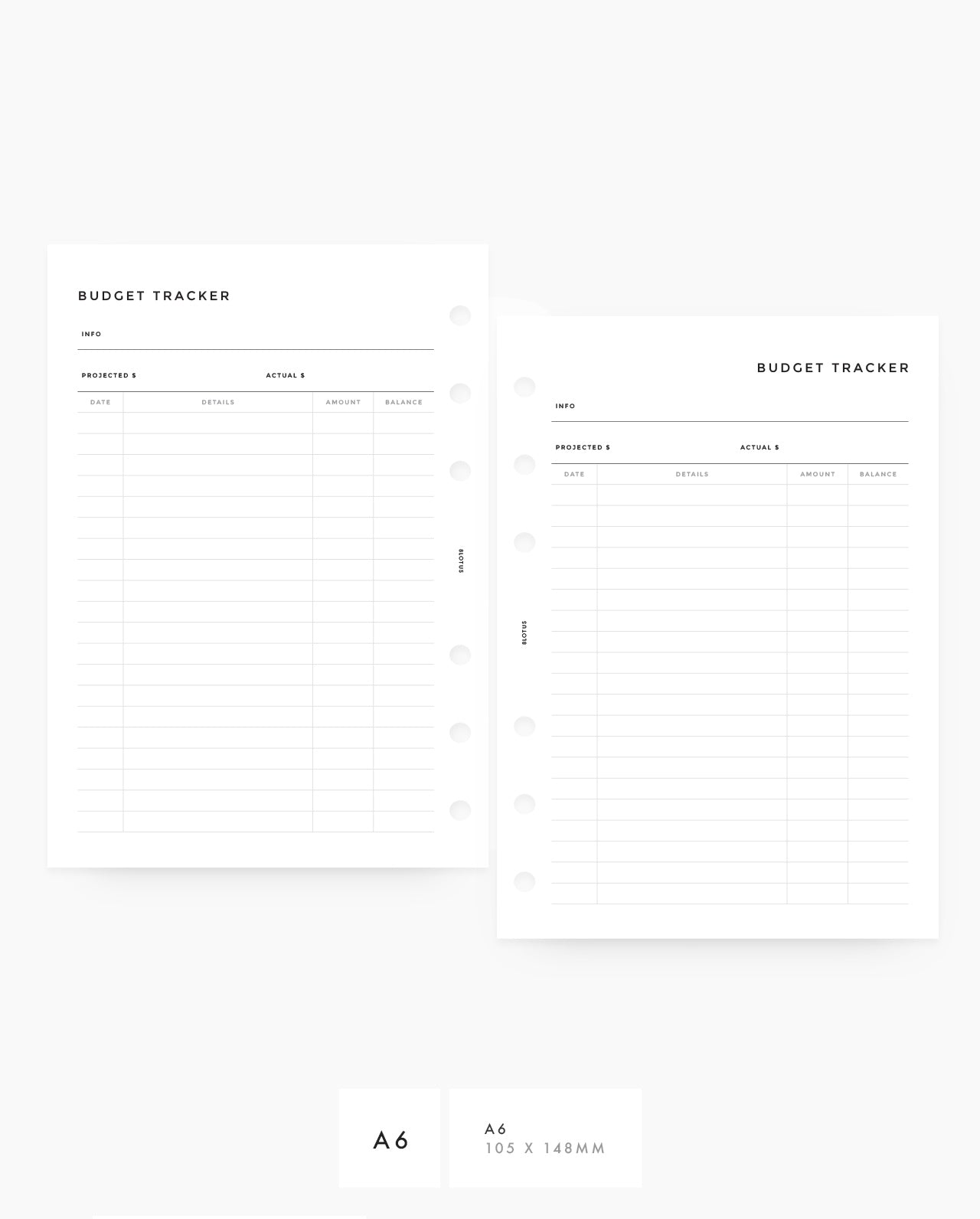 MN036 - Budget Tracker (Special Order)