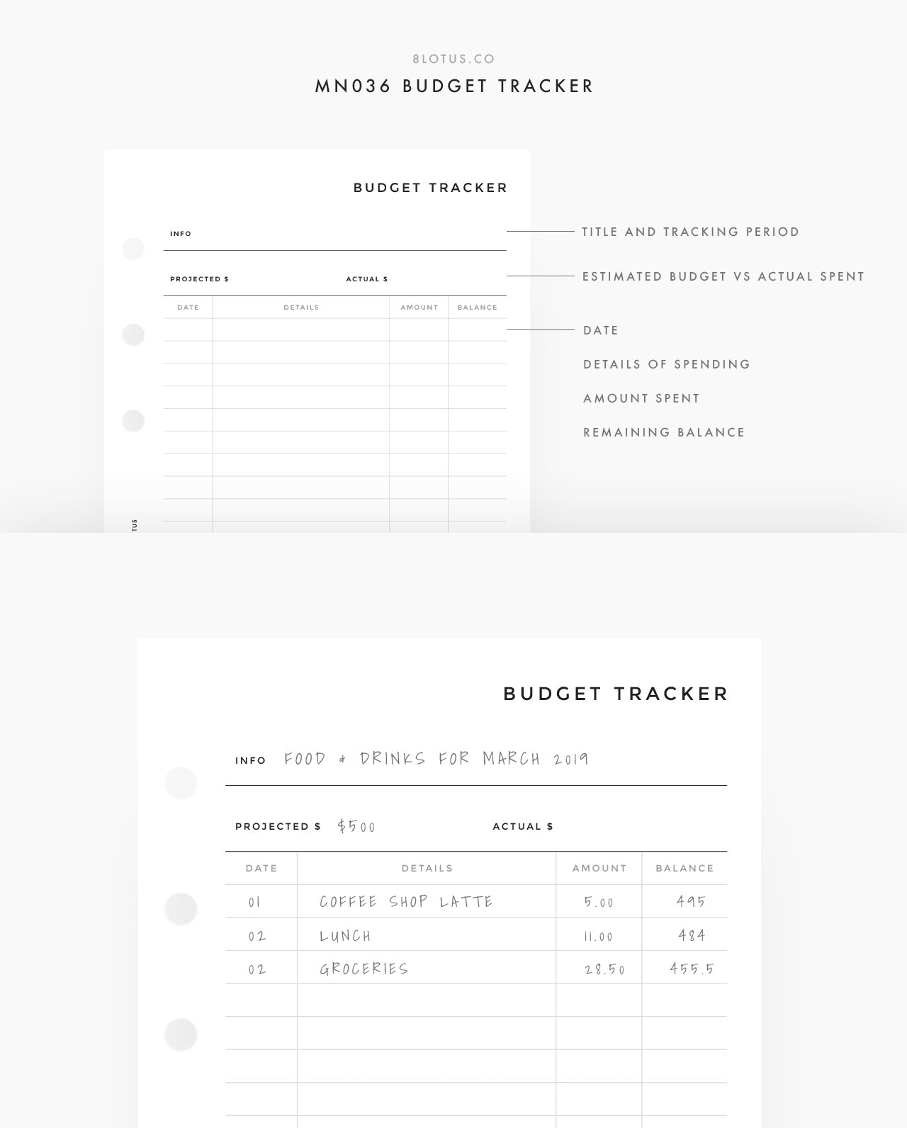 MN036 - Budget Tracker (Special Order)