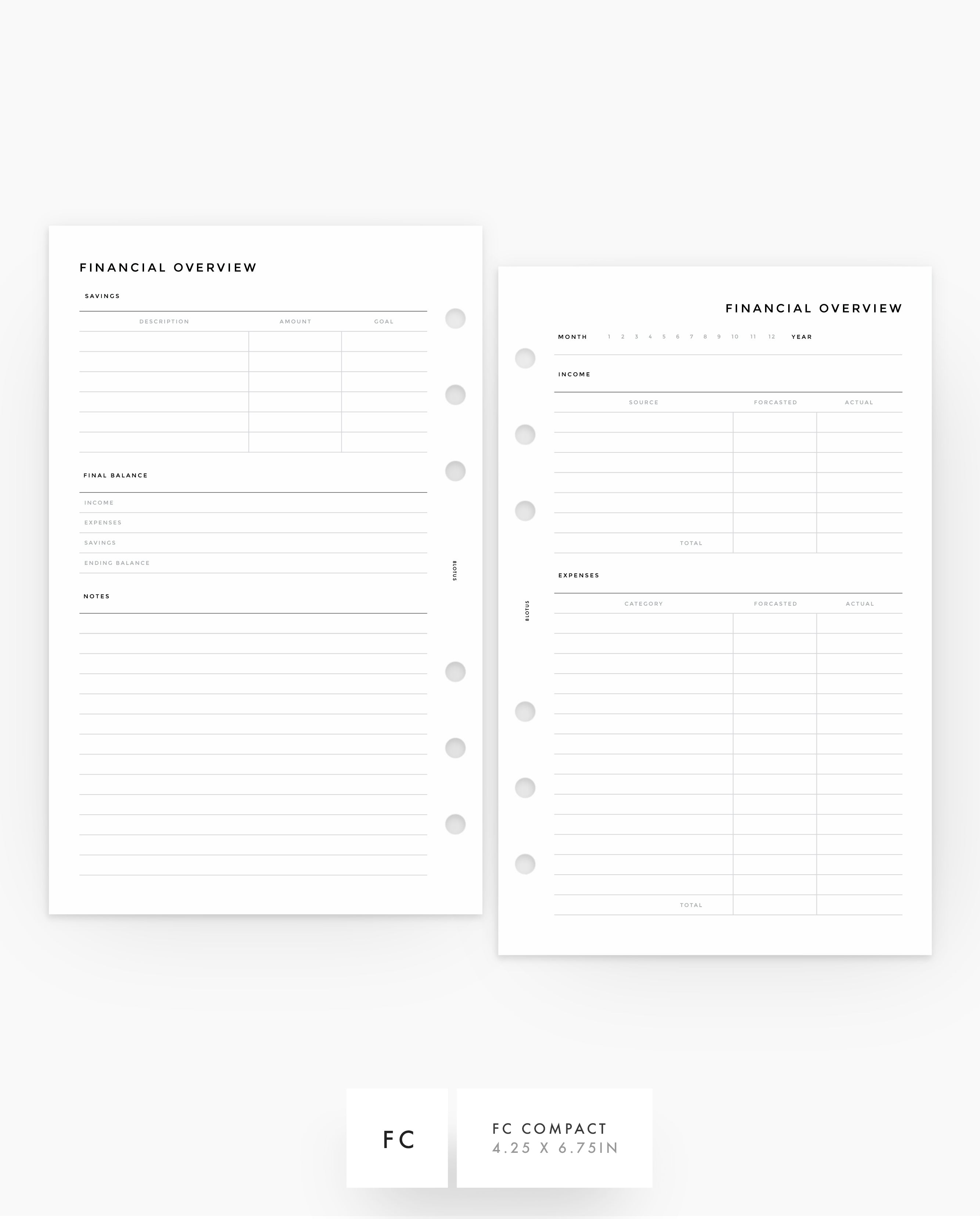 MN038 - Financial Overview PRINTABLE Inserts