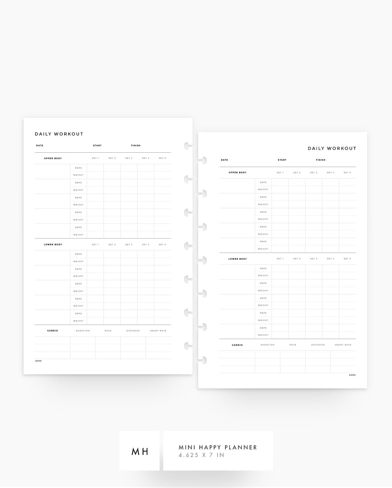 MN065 - Daily Workout - PDF