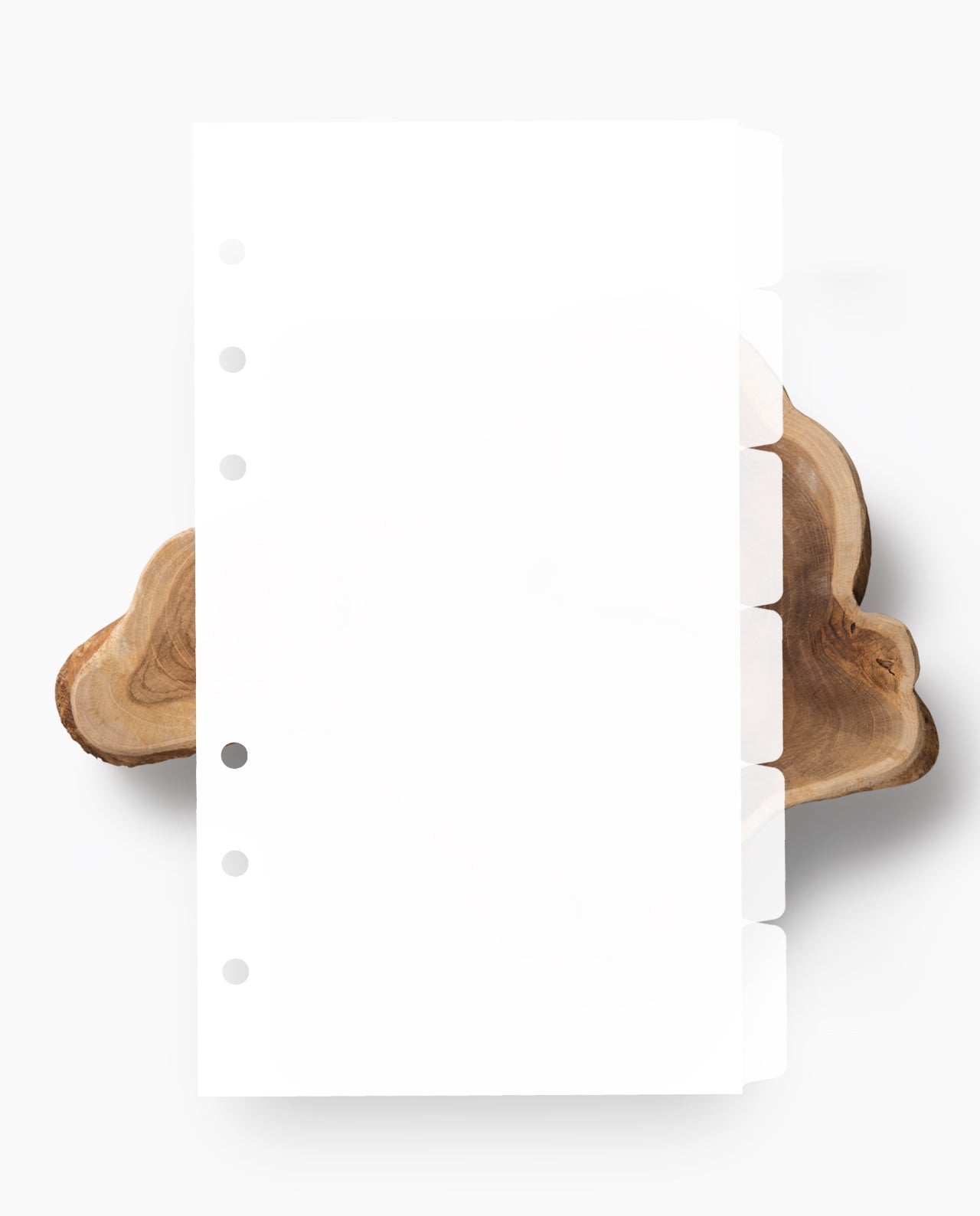 DV02 - Blank Thin Tab Dividers
