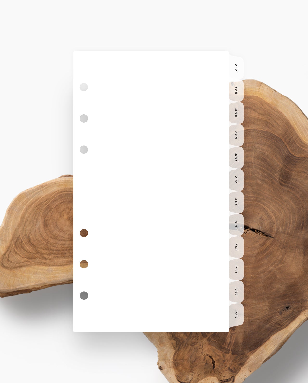 C005 - Custom Side Dividers - Set of 12 - Special Order