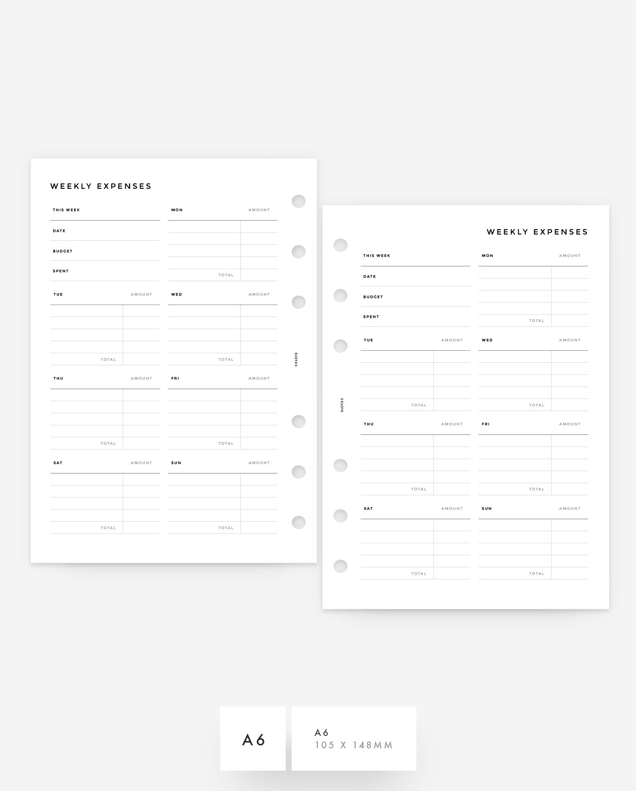 MN143 - Weekly Expenses - PDF