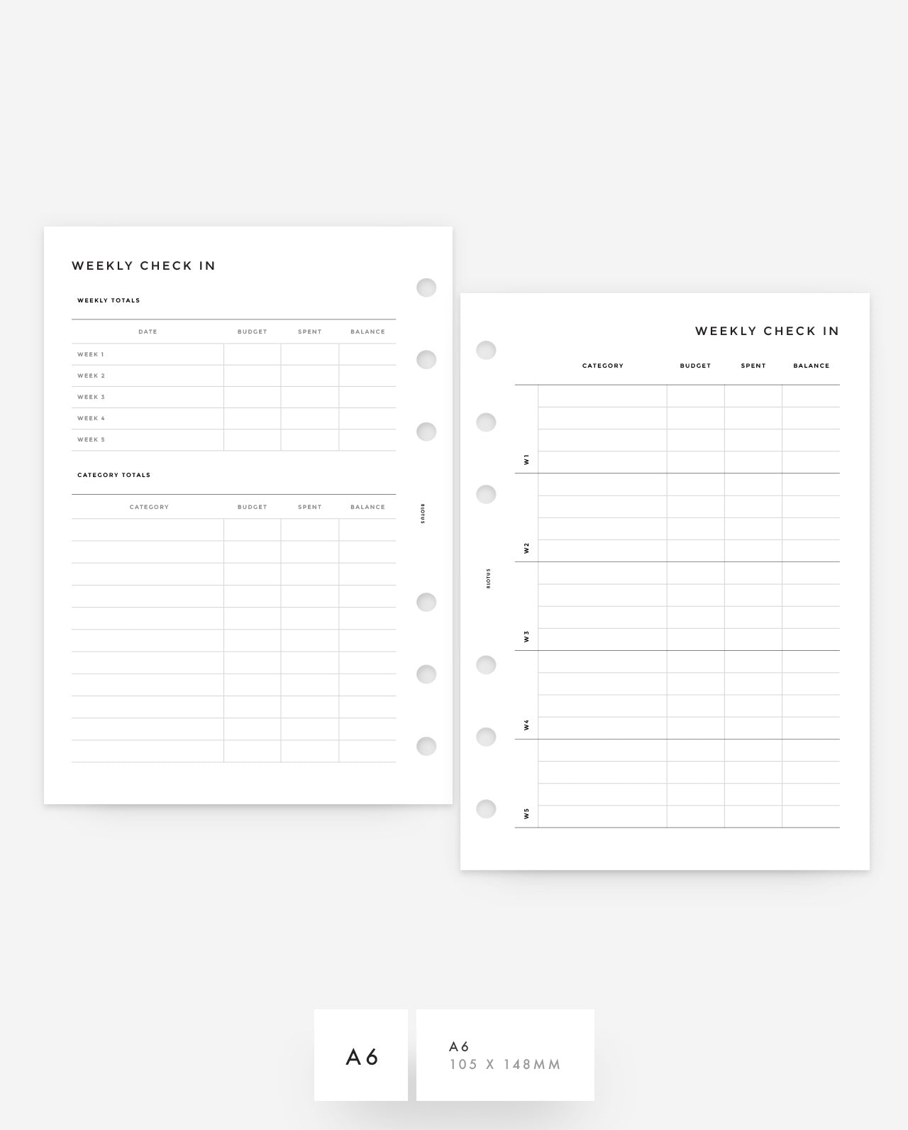 MN149 - Weekly Financial Check In (Special Order)