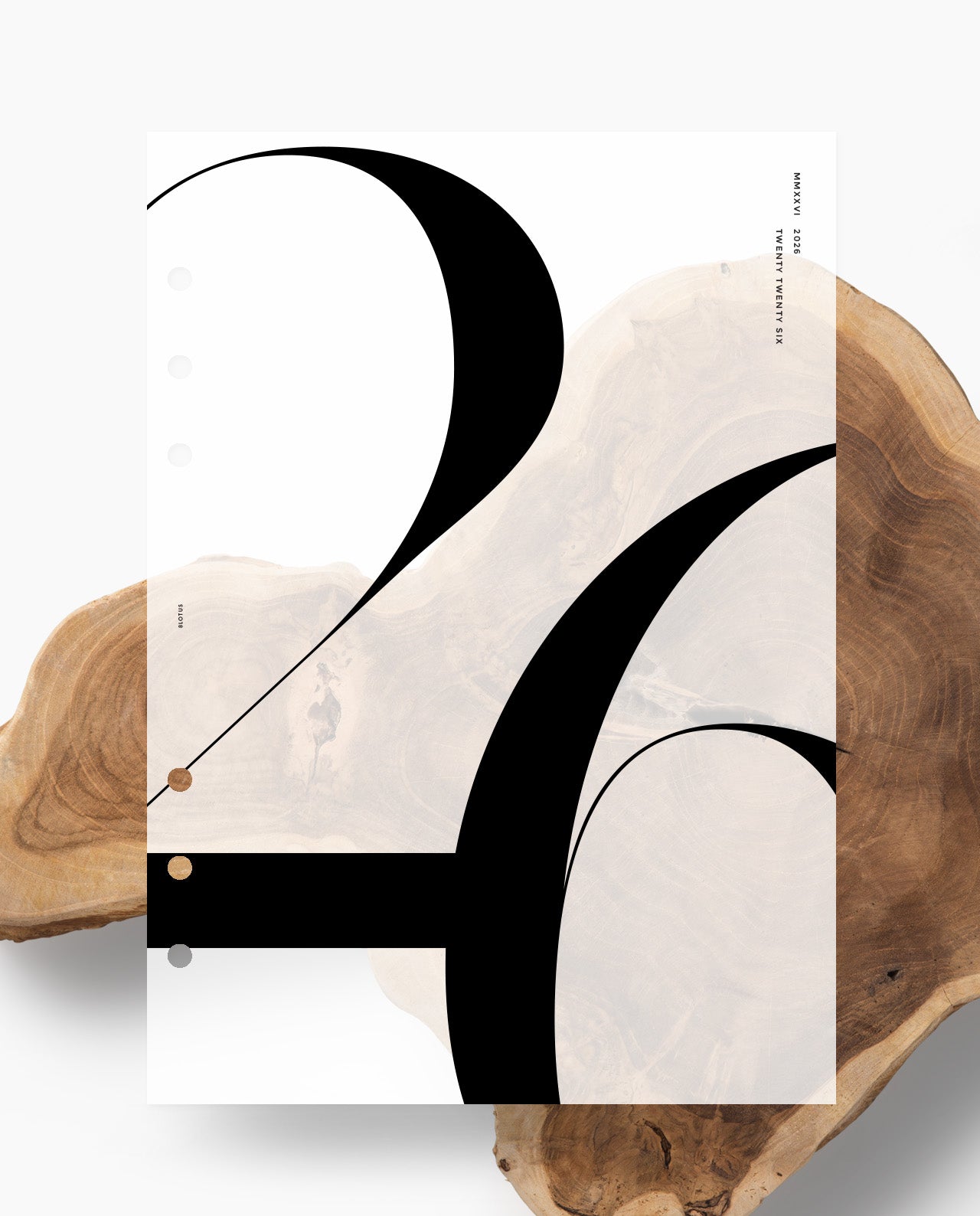 D020 - Bold Serif - 2026 Dashboard