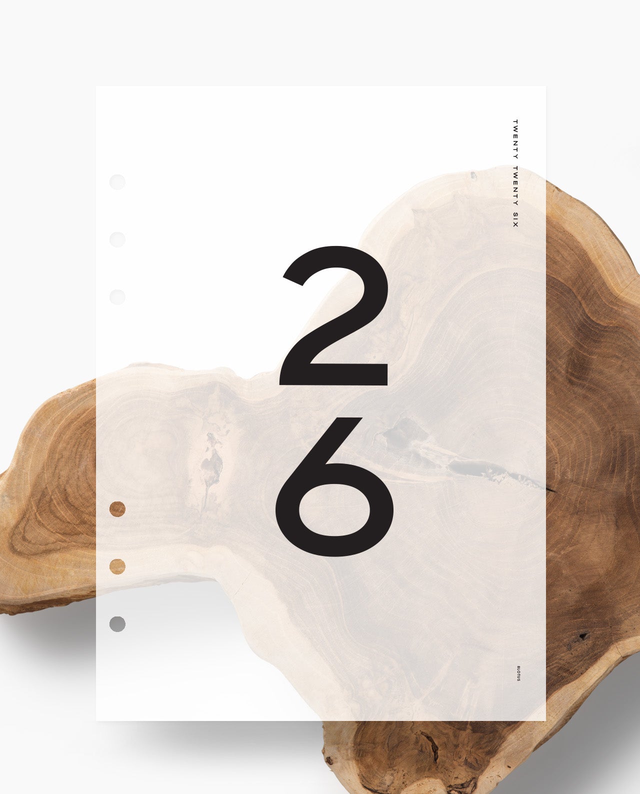 D078 - Bold Sans Serif - 2026 Dashboard