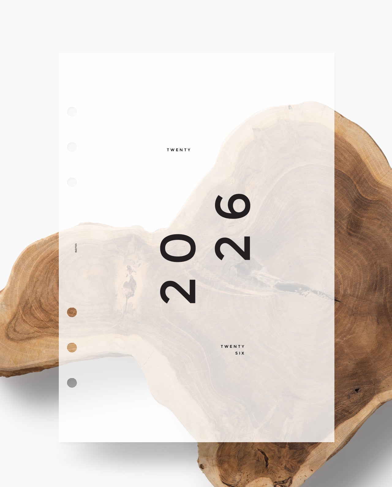 D019 - Minimalist 2026 Dashboard