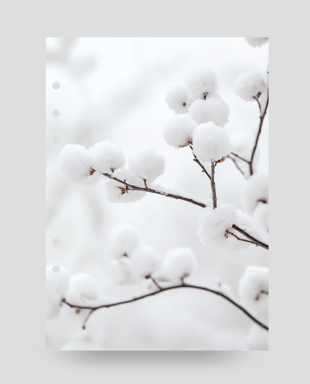 D096 - Snowy Berries - Planner Dashboard