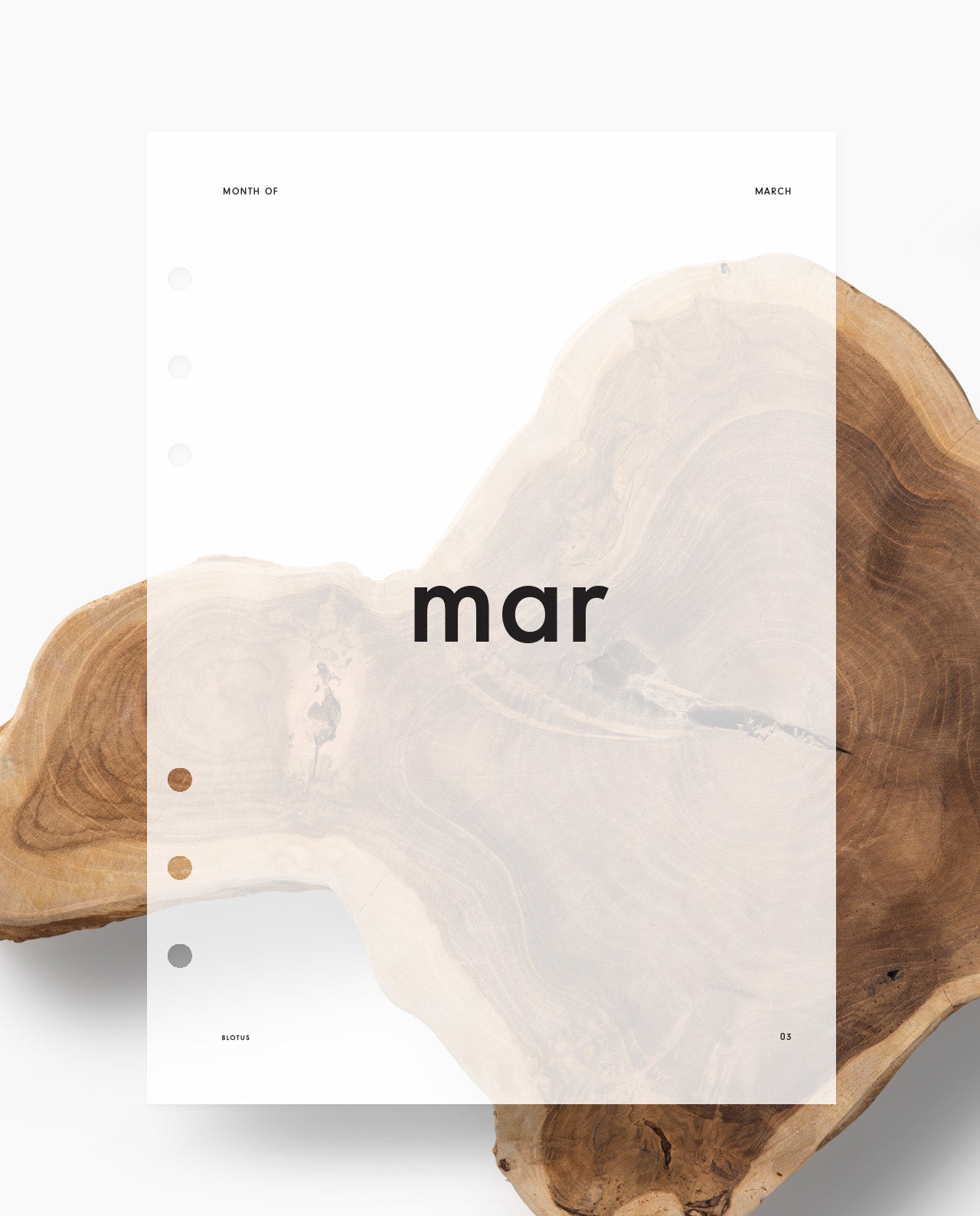 D100 - Sans Serif Monthly Planner Dashboard
