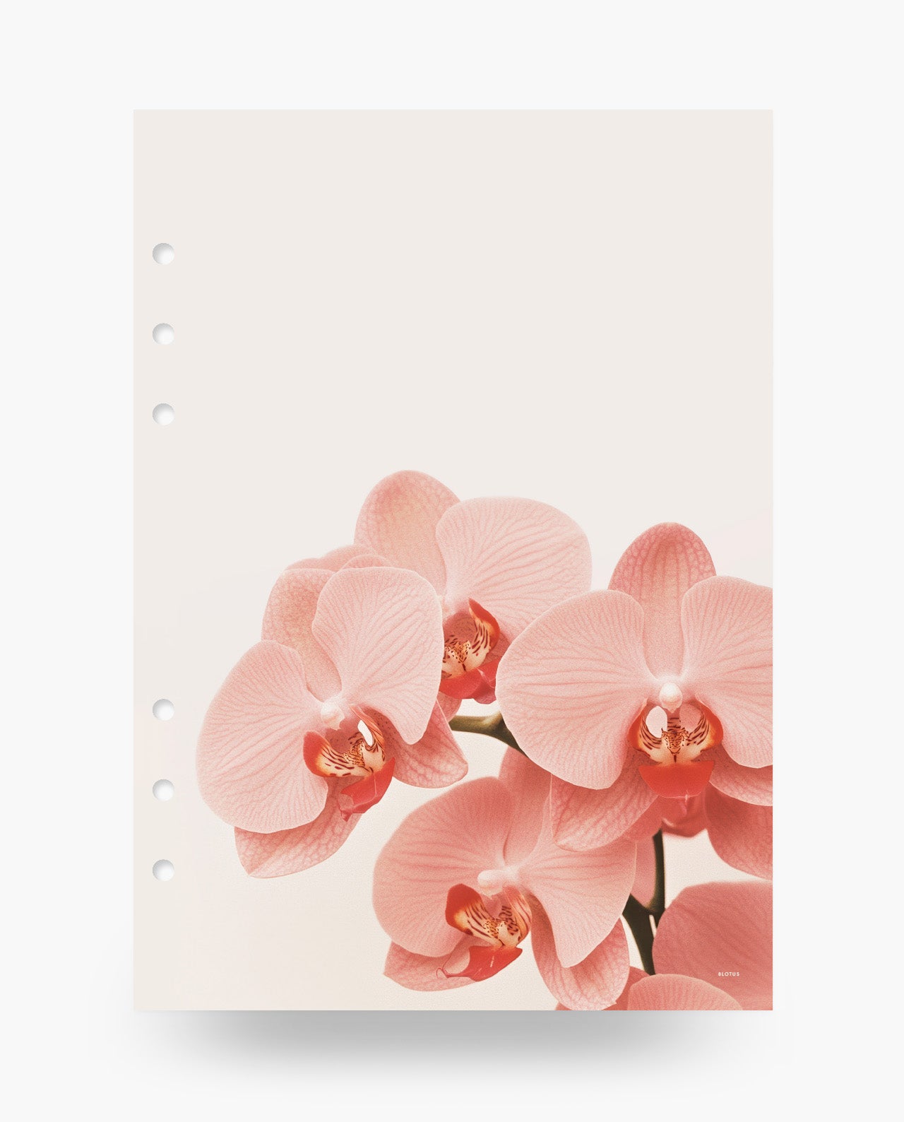D066 - Spring Orchids - Dashboard