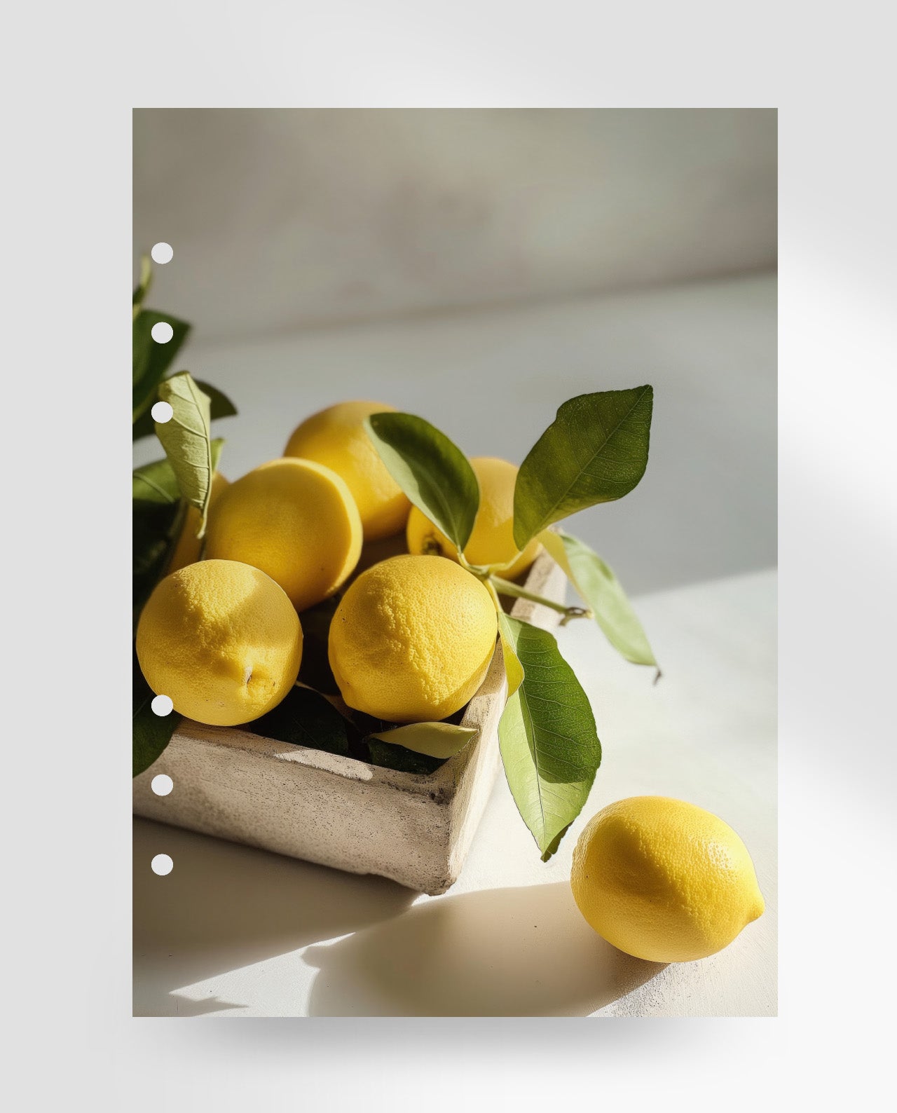 D114 - Sunlit Citrus - Planner Dashboard